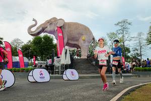 BIB: 
                            <button type="button" onclick="openModal(26528976)" class="btn btn-primary btn-sm float-right btn-popup" data-toggle="modal" data-target=".modal-high-quality">
                        <i class="fas fa-shopping-cart"></i> Add to Cart
                    </button>
                                            <button type="button" onclick="isThisMe(26528976, true)" class="btn btn-success btn-sm float-right btn-popup btn-isme hidden" data-toggle="tooltip" data-placement="bottom" title="นี่คือรูปของคุณใช่ไหม คลิกที่นี่เพื่อเอาเข้าอัลบั้ม">
                        <i class="fas fa-plus"></i> Add to album
                    </button>
                    <button type="button" onclick="isThisMe(26528976, false)" class="btn btn-warning btn-sm float-right btn-popup btn-isnotme hidden">
                        <i class="fas fa-ban"></i> Remove from album
                    </button>